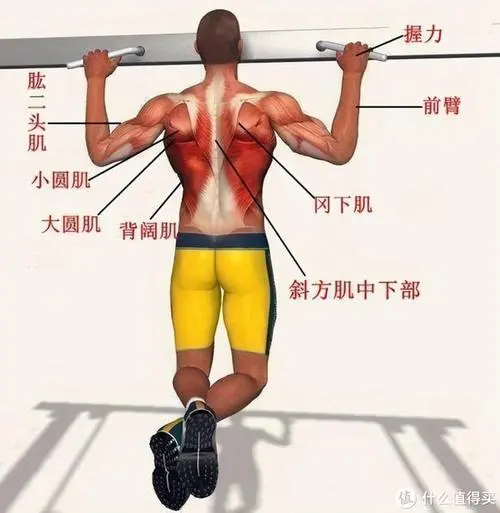 搞农村园林绿化工程怎么样